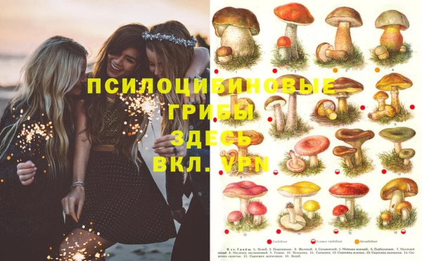 спайс Белоозёрский