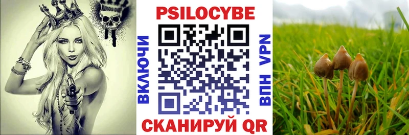 ОМГ ОМГ как войти  Череповец  Галлюциногенные грибы мухоморы 